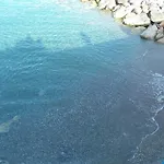 Hotel Sea Garden Acquappesa