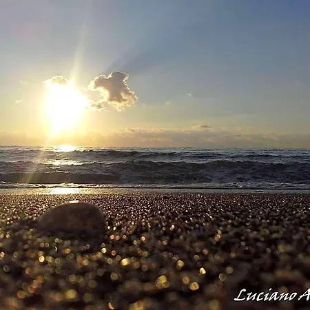 Sea Garden