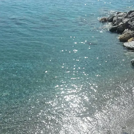 Sea Garden Hotel