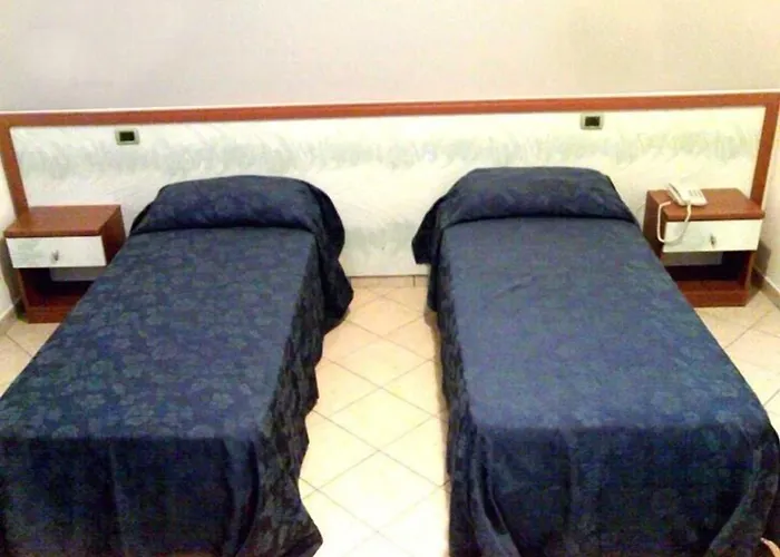 酒店 海洋花园酒店 3*