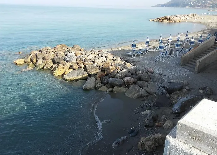 酒店 海洋花园酒店