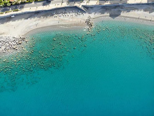 酒店 海洋花园酒店 3*